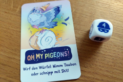 pigeons6