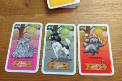 poodle5