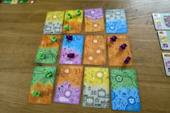 propolis12
