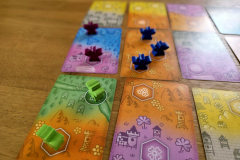 propolis7
