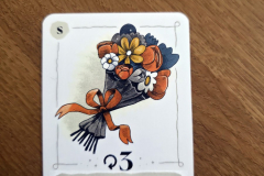 princess3