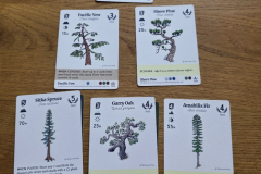 reforest10