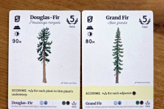 reforest5