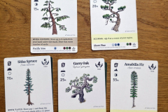 reforest9