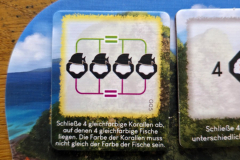 riffwelten15