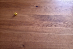 rollympics10