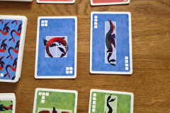seedrachen5