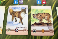 sierra11