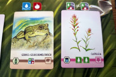 sierra16