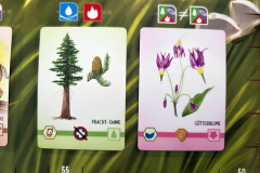 sierra19