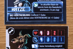 qubes13