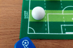 goal12