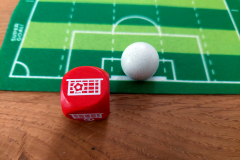 goal6