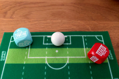 goal8