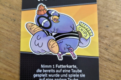 tauben13