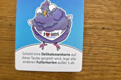 tauben14