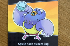 tauben2
