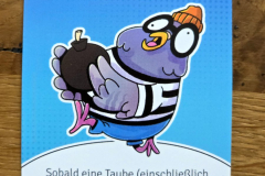 tauben3
