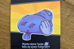 tauben5