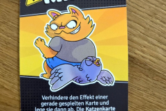 tauben9
