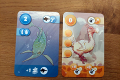 timezoo4