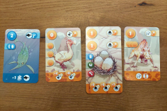 timezoo5