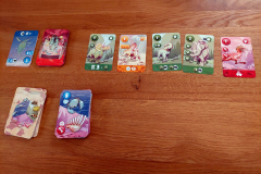 timezoo6