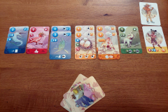 timezoo9