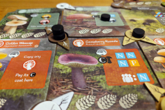 undergrove7
