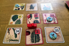 verdant8
