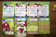 vineyard11