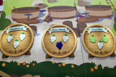 vineyard4