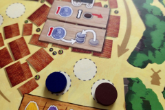 windmill12 windmill12